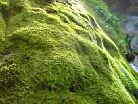 Limekiln Falls at Limekiln State Park