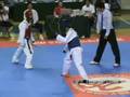 World Taekwondo Festival... View Video