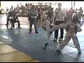 2008 REGIONAL AGE GROUP TAEKWONDO CHAMPIONSHIP