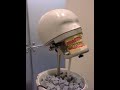 Frasaco Z�hne bei�en zu