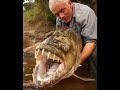 Click here to watch this video hill top hoods
