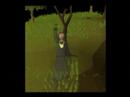 Runescape Random