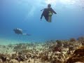Paul on Tortugas and Sabalos Reefs, Playa del Carmen
