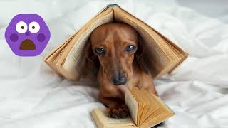 mqdefault Titi Hajnalka – Mesék és versek gyerekeknek Titi Hajnalka, gyerekversek, gyerekmesék, meseíró, Mesefarm