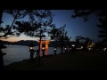 日本三景 『安芸の宮島』 夕景 - 厳島神社ライトアップ Miyajima Itukusima shrine 宮島