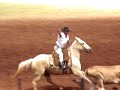 Rodeio de Giruá