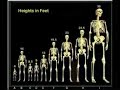NEPHILIM NEPHILIM
