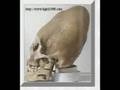 NEPHILIM