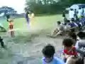 The Great Race (caterpillar)