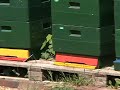 Fachschule für Agrar- und Hauswirtschaft Stadtroda