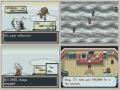 Let-s-race-pokemon-L