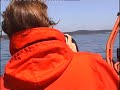 Whale watching for Vancouver Island