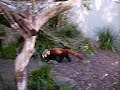 Taronga Zoo, Sydney, Australia, Part 2