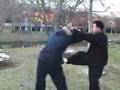 Wing Chun techniques