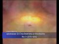 videos de Part 13 - Black hole - 50th Anniversary of MUSC on NBT