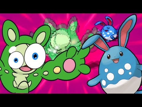 POKEMON