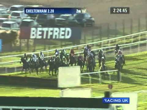 paddy power cheltenham