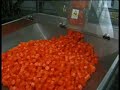 OCME - Complete filling line for vegetable oil OCME - Complete filling line for vegetable oil