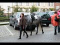BAPTEME PONEY 13122009.wmv