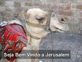 city of david   jerusalem   cidade de davi 3 000 anos de historia