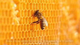 Decoraids Product of the Week: Hexagon Design Panels!.mp4