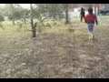 nick taner & ella chasing merad nick taner & ella chasing merad