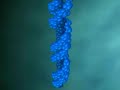 Robert Schoch Foundation - Speech on Destiny Dynamocyclical