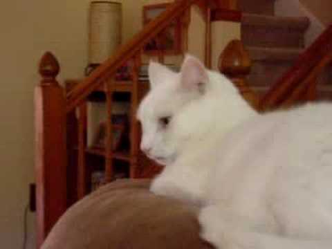 Gary Why Are You So Disgusted?