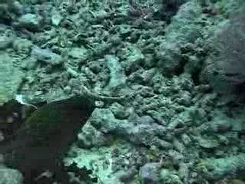 2000 Yap, Micronesia