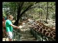 Haller park Mombasa