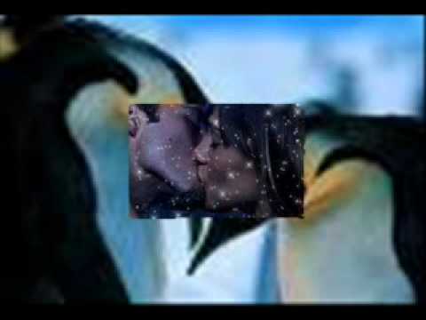 SNG -