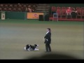 Karen Sykes and Fly Crufts 2008.avi Karen Sykes and Fly Crufts 2008.avi