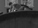 videos de Britney Spears,-I Run away (Sims2)