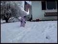 Snow-Monster