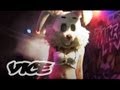 Partying in Panama City Beach Presented by ...