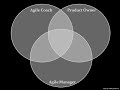 Interlocking Roles in Agile