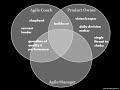Interlocking Roles in Agile