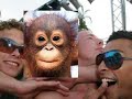 Interview met Monkey Business ambassadeur Chris Zegers Interview met Monkey Business ambassadeur Chris Zegers