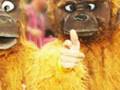 Interview met Monkey Business ambassadeur Chris Zegers