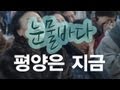[NocutView]평양은 지금 '눈물 바다'