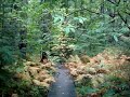 COSTA RICA MTB LEOMINSTER STATE FORREST