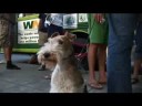 Hippy Gourmet meets the BigGreenBus from Dartmouth College!