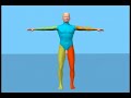 Why the body is like water
