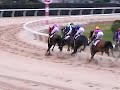 宮下瞳騎乗地方競馬ナンバーワン女性騎手の手綱捌きをどうぞ橙色(8番）の帽子です。