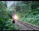 picchu train