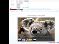 Live Rotator - Working w/Themes Live Rotator - Working w/Themes