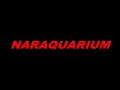 Novo nano com 30 dias (a qualidade do vídeo está ruim, verdade.... depois eu faço um melhor) 