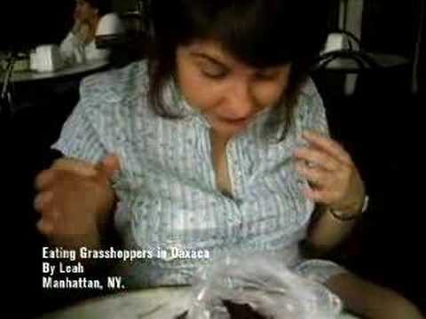 Travel Channel - Leah Eats Grasshoppers