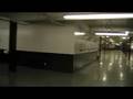 videos de dmz 1