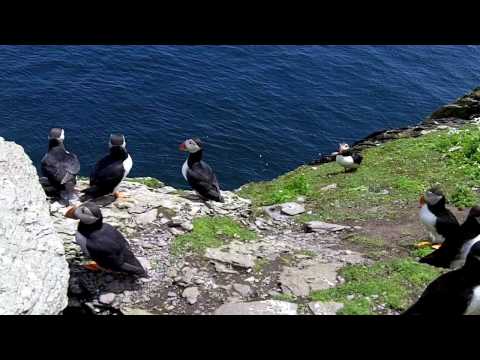 See video